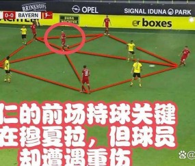 拜仁这是玩真的？不争德甲冠军的南大王，球迷还怎么磕下去！
