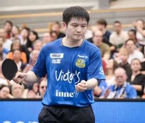 惊心动魄！樊振东22分钟横扫纽汀克，德甲首取3-0豪夺三连胜